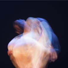 Fatemeh Burnes