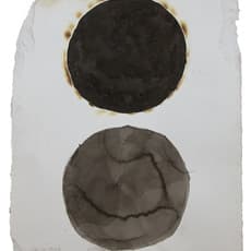 Zhang Jian-Jun 張健君