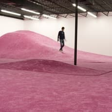 Leyden Rodriguez-Casanova