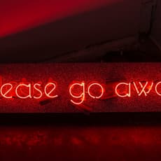 Stephanie Sara Lifshutz