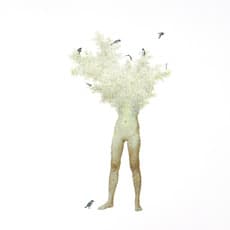 Keun Young Park