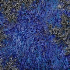 Victoria Kovalenchikova