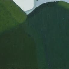 GUO Haiqiang 郭海强