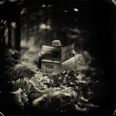 Alex Timmermans