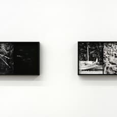 Luca Campestri 卢卡·坎佩斯特里