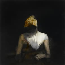 Nicola Samori