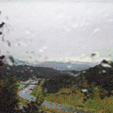 Dan Hays
