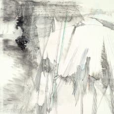 Hung Fai & Wai Pong-yu