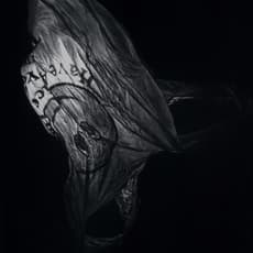 Jeremy Plunkett