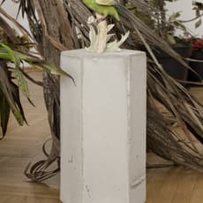 Isa Melsheimer