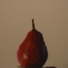 Kelly Ingleright-Telgenhoff