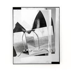 Agnieszka Grodzińska