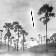 Hans-Christian Schink