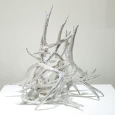 Marc Swanson