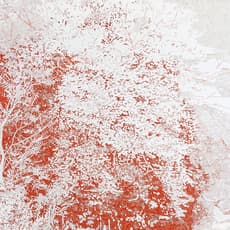 Seki TOMOO