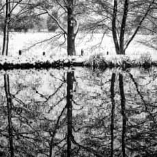 Weldon Brewster