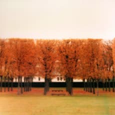 Lynn Geesaman