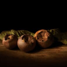Martin Prothero
