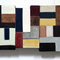 Ned Evans, Baya (2018)