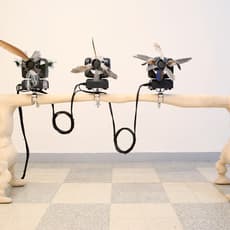 Rodrigo Red Sandoval