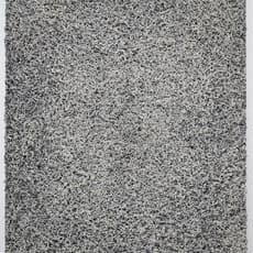 Zhai Xuanhong 翟轩弘