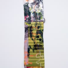 Cibelle Cavalli Bastos