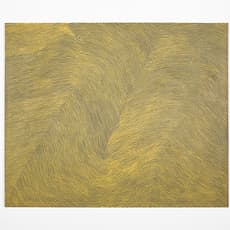 Warlimpirrnga Tjapaltjarri