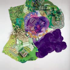 Lisa Hoke