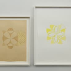 Simone Schardt