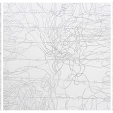 Chandraguptha Thenuwara