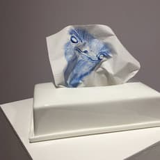 Hoi Kiu Angel Hui