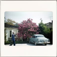 Lee Shulman & Omar Victor Diop