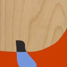 Stephen Ormandy