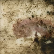 Kathy Ackerman Robins