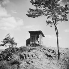 Tove Jansson
