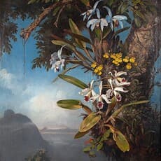 Karl Ernst Papf