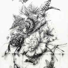 Joo Lee Kang