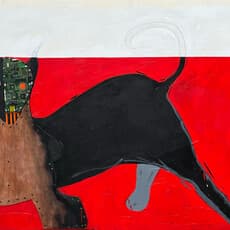 Javy Villacin