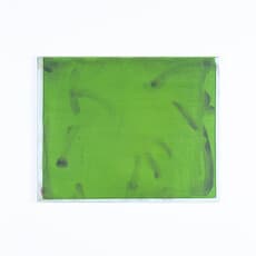 Callum Green