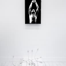 Kyle Patnaude