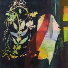 Sean Crossley
