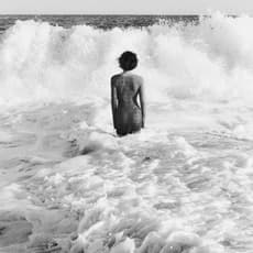 Vanessa von Zitzewitz