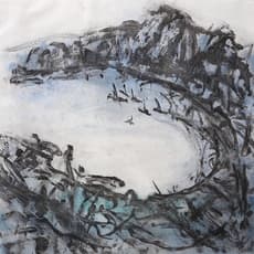 Terese McManus