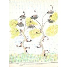 Ogwa (Flores Balbuena)