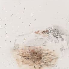 Chen Xinmao 陳心懋