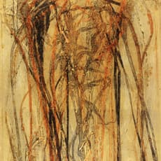 Liu Zhenchen 刘真辰