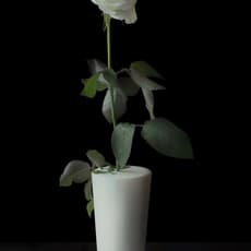 Masaharu Sato 佐藤 雅晴