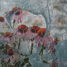 CathyJean Clark