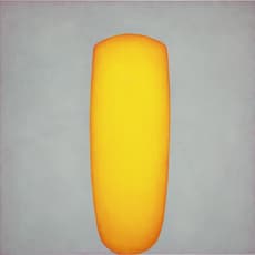 Chen Ruobing 陈若冰