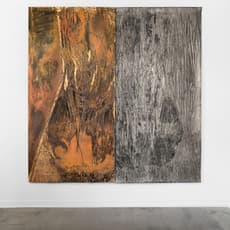 Kathryn Brackett Luchs